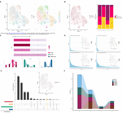 CROCKETA: An automated framework for comprehensive multi-omic analysis of gene expression and clonotype immune repertoire at a single-cell level