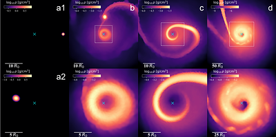 Bridging Roche Lobe Overflow and micro-TDEs: The Runaway Evolution of Eccentric Mass Transfer in Star-Black Hole Binaries