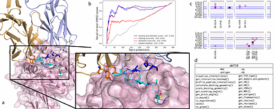 STCRpy: a software suite for T cell receptor structure parsing, interaction profiling and machine learning dataset preparation
