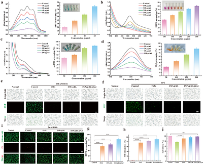 Multi-component functionalized Bifidobacterium longum hydrogel for multi-target integrated therapy of colitis-associated anxiety and depression