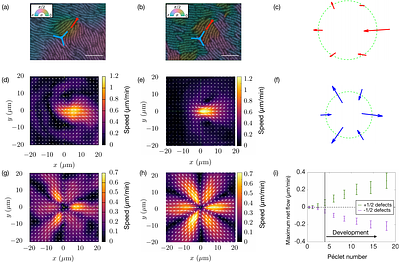 3D Agent-based modeling without chemical signaling recreatescollective behaviors seen in Myxococcus xanthus colonies