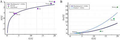 On the relationship between neuronal heterogeneity and entropy