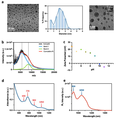 Self-Assembled siRNA-Gold Supraclusters Detected at the Single-Molecule Level in the NIR-II Window