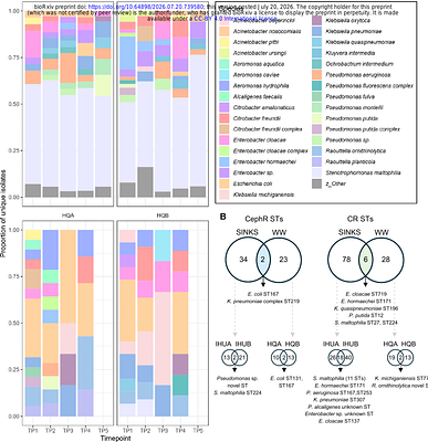 Interconnected reservoirs of multidrug-resistant bacteria and plasmids within the hospital built environment
