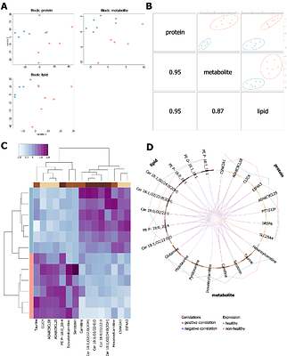 From the lung to the muscle: Systemic insights from an integrative MultiOmics analysis of harbour porpoises in poor respiratory health