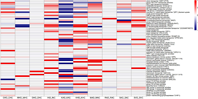 Integrated phenomic and transcriptomic analyses unveil superior drought plasticity of North African durum wheat landraces