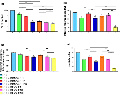 Impact of Bacterial Membrane Vesicles on Cellular Responses in Leishmania amazonensis-Infected Macrophages In Vitro