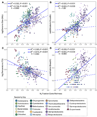 Ecological constraints and evolutionary trade-offs shape nitrogen fixation across habitats