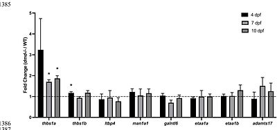 Validation of Duchenne muscular dystrophy candidate modifiers using a CRISPR-Cas9-based approach in zebrafish