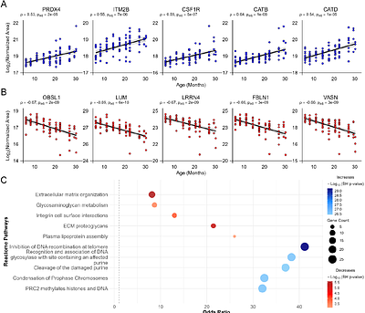 Circulating extracellular vesicles in plasma carry accessible molecular signatures of aging in mice