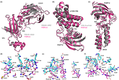 FKSFold: Improving AlphaFold3-Type Predictions of Molecular Glue-Induced Ternary Complexes with Feynman-Kac-Steered Diffusion
