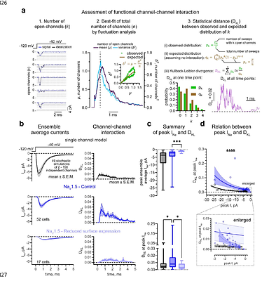 CLUSTERING DYNAMICALLY MODULATE THE BIOPHYSICS OF VOLTAGE-GATED SODIUM CHANNELS: HOW NANOSCALE PHENOMENA DETERMINE HEALTH AND DISEASE