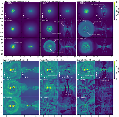 Magnetic-Field-Induced Inspiral of Binaries with Circumbinary Disk: Black Hole and Protostellar Systems
