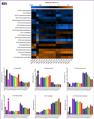 The effect of particle size on wheat bran fermentation by human gut microbiota