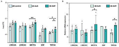 Volumetric mechanosensing of CAF in 3D hydrogels drive altered drug response in breast cancer