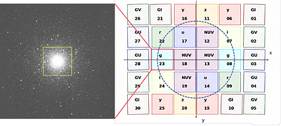 Multiple populations detection with the Chinese Space Station Survey Telescope main survey camera