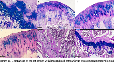 Experimental Confirmation of Osteoarthritis Repair In Vivo Using Epigenetic Reprogramming with Small Chemical Molecules