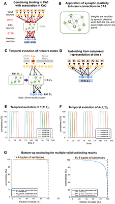 Behavioral Time Scale Synaptic Plasticity (BTSP) endows Hyperdimensional Computing with attractor features