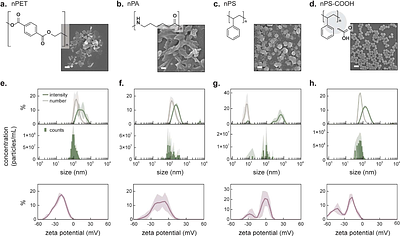 Coacervate droplet sequestration of heterogenous nanoplastics with elastin-like polypeptides