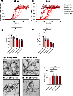 Low-abundance αSyn-112 promotes αSyn-140 aggregation in vitro and forms immunoreactive deposits in Parkinson's disease brain tissue