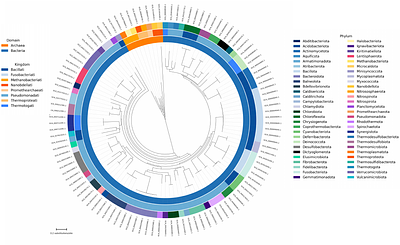 Taxonomic Resolution of 16S rRNA, FastANI, Mash, and FastAAI across 30,495 Prokaryotic Type-Strain Genomes