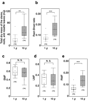 Prolonged exposure to hypergravity increases biomass and alters biomass allocation in Arabidopsis thaliana (L.) Heynh. with no apparent impact on element content in the shoot system