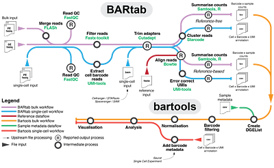 BARtab & bartools: an integrated Nextflow pipeline and R package for the analysis of synthetic cellular barcodes in the genome and transcriptome