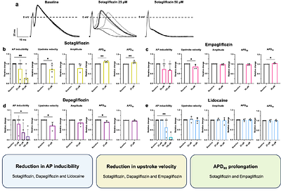 Disruption of RBM20 causes atrial electrophysiological disturbances