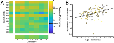 Transformation-tolerant object recognition in tree shrews despite lacking a fovea