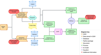 EMMAi: fast enzyme-allocation constraints in GEMs for improved biomass prediction across carbon sources