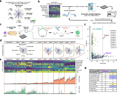 Cell-free genome-wide transcriptomics through machine learning optimization