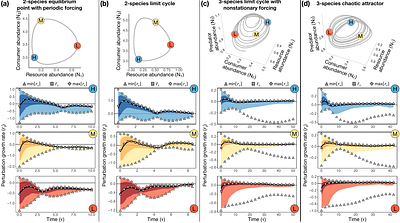 A nonequilibrium framework for community responses to pulse perturbations