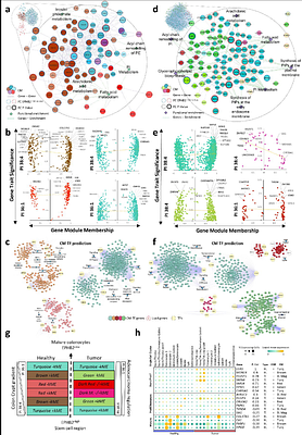 A Fine-Tuned Phosphatidylinositol Profile Contributes to Colonocyte Differentiation and Malignization: Evidence From Integrated Omics