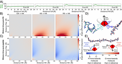 Transient Formation of Supramolecular Complexes Between Hyaluronan and Oligopeptides at Submicromolar Concentration