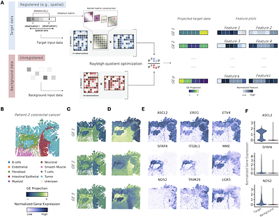 The Rayleigh Quotient and Contrastive Principal Component Analysis II