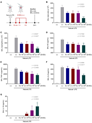 Extracellular Vesicle-Enriched Secretome from Mesenchymal Stromal Cells Protects Against Chemically, Particulate-, and Ischemia-Induced Innate-Immunity Induced Inflammation