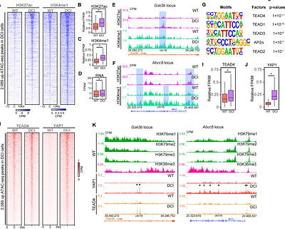 H3K79 methylation and H3K36 tri-methylation synergistically regulate gene expression in pluripotent stem cells