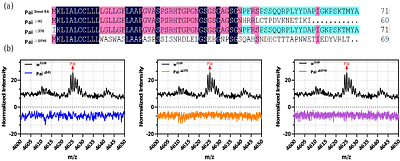 Functional Characterization of Paillotin: An Immune Peptide Regulated by the Imd Pathway with Pathogen-Specific Roles in Drosophila Immunity