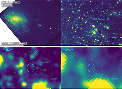 James Webb Space Telescope Observations of the Nearby and
  Precisely-Localized FRB 20250316A: A Potential Near-IR Counterpart and
  Implications for the Progenitors of Fast Radio Bursts