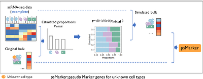 MiCBuS: Marker Gene Mining for Unknown Cell Types Using Bulk and Single Cell RNA-Seq Data