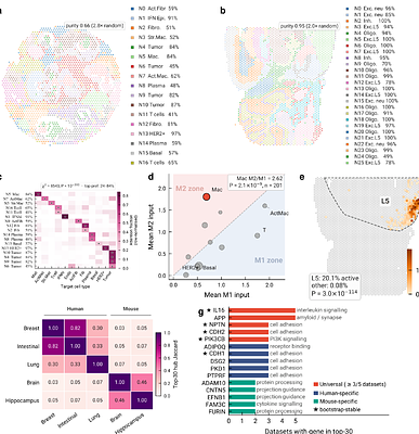 Learning the spatial cell-cell communication network to decode multi-channel signaling and predict network-hub vulnerabilities with MOSANIC