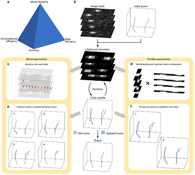 Physics-Inspired Single-Particle Tracking Accelerated with Parallelism