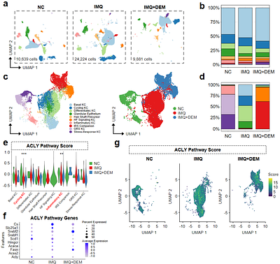 AI-Guided Structure-Aware Modeling and Thermal Proteomics Reveal Direct Demethylzeylasteral-ACLY Interaction