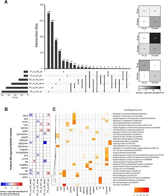 Distinct heterozygous TTC7A missense variants lead to different intestinal epithelial phenotypes in pediatric IBD