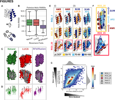 An improved model for prediction of de novo designed proteins with diverse geometries