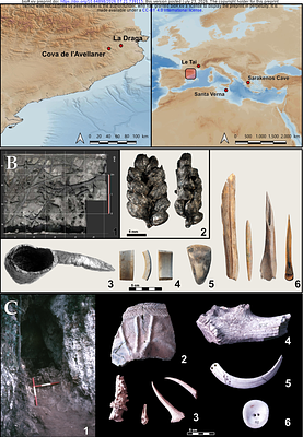 Mediterranean dispersal imposed bottlenecks in Neolithic sheep and goats