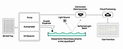 A High-Dimensional Interfacial Wave Assay for Early Biophysical Profiling of Therapeutic Antibodies