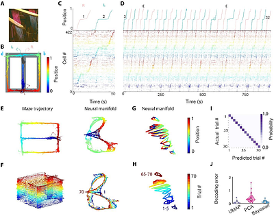 Selection of experience for memory by hippocampal sharp wave ripples