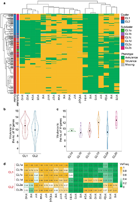 Two ancient nuclear lineages and divergent reproductive strategies drive global success of the wheat stripe rust pathogen