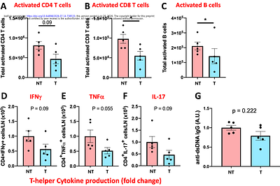 Glomerulus-Targeted Nanotherapy via Collagen IV-α3 Binding Enhances Renal Immunoregulation in Lupus Nephritis